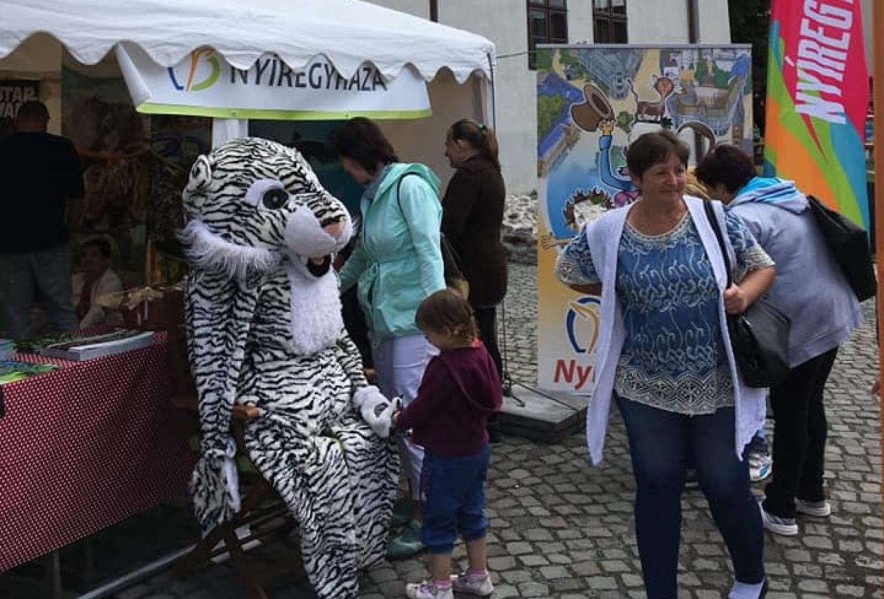 Nyíregyházát népszerűsítették egész nyáron