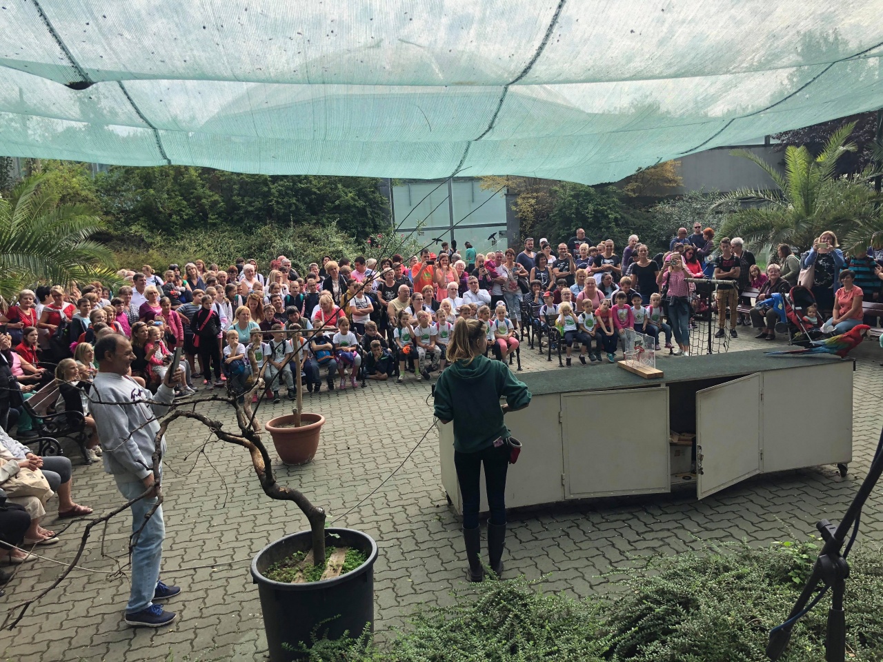 „Ez a mi napunk!” – Sérült és rászoruló embereknek szervezett programot az állatpark