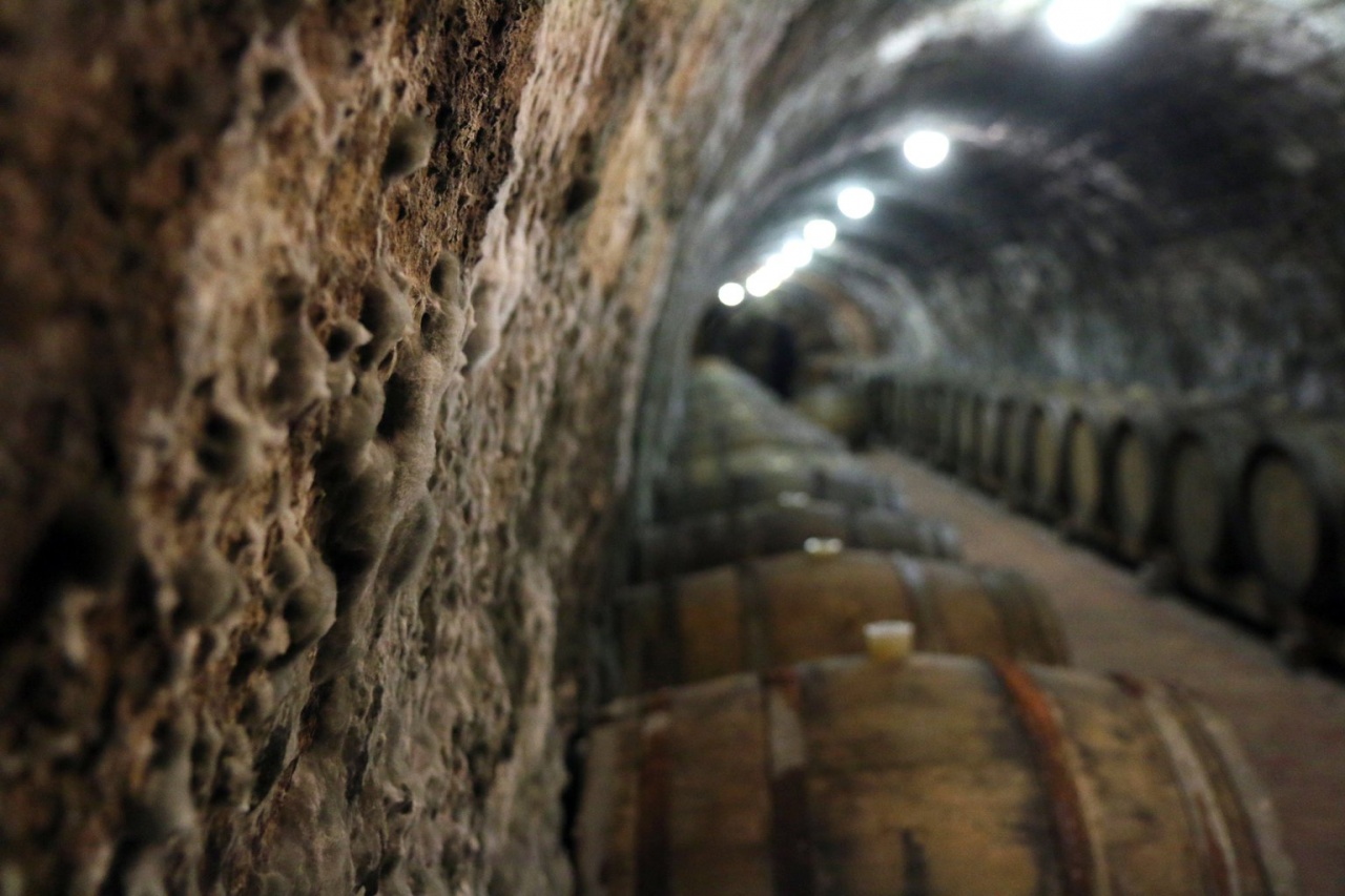 Ismét a mustgáz veszélyére hívták fel a figyelmet