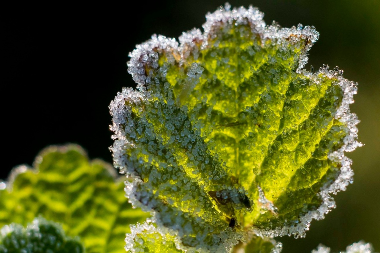 Egy hajszálon múlt a hidegrekord hajnalban