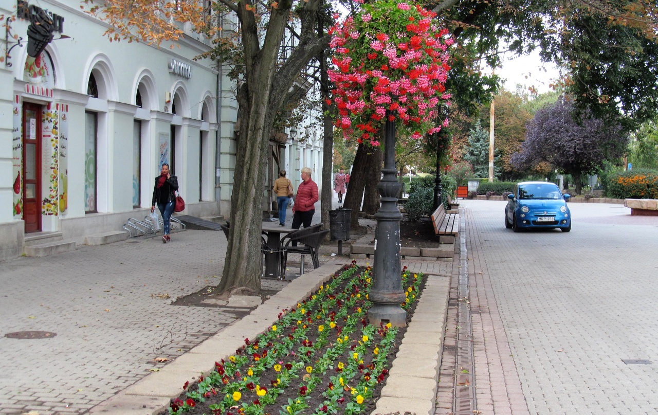 Őszi virágosítás – 95 ezer hagymás és kétnyári virág díszíti majd Nyíregyháza köztereit