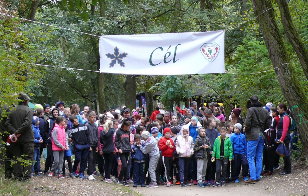 Ismét NYÍRERDŐ Nap volt Nyíregyházán