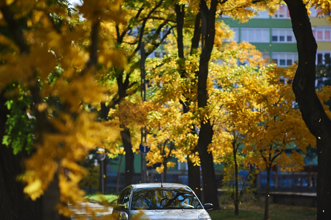 Nincs titok! Dávid Mihály szerint még visszamelegszik az idő