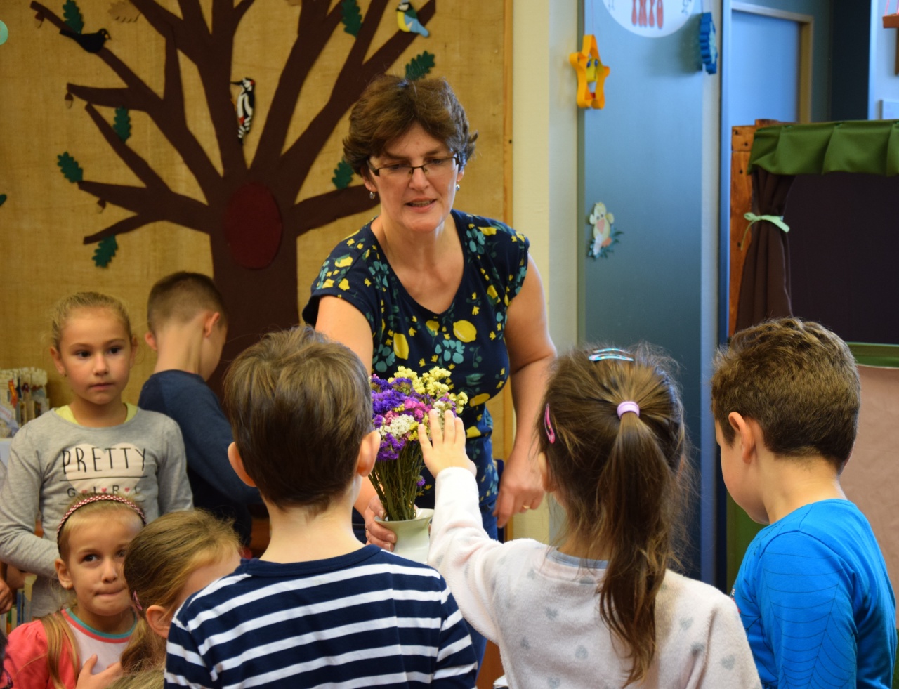 A só címmel tartottak foglalkozást elsősöknek a Móricz Zsigmond könyvtárban