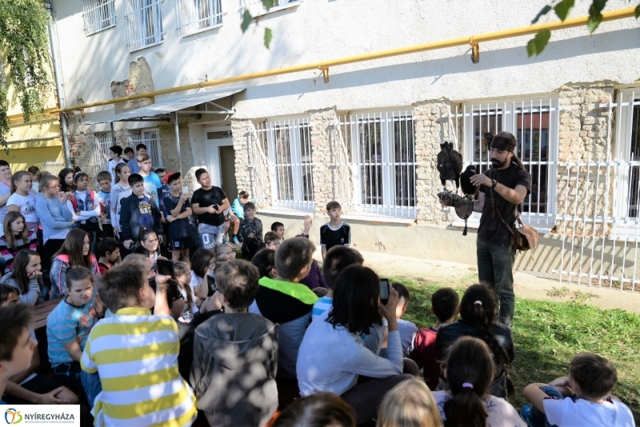 „Állati délutánt" rendeztek Nyírszőlősön