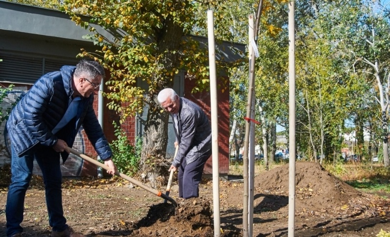 Harminc facsemete szépíti a Szegfű utcát – A városnak fontos a környezettudatosság!