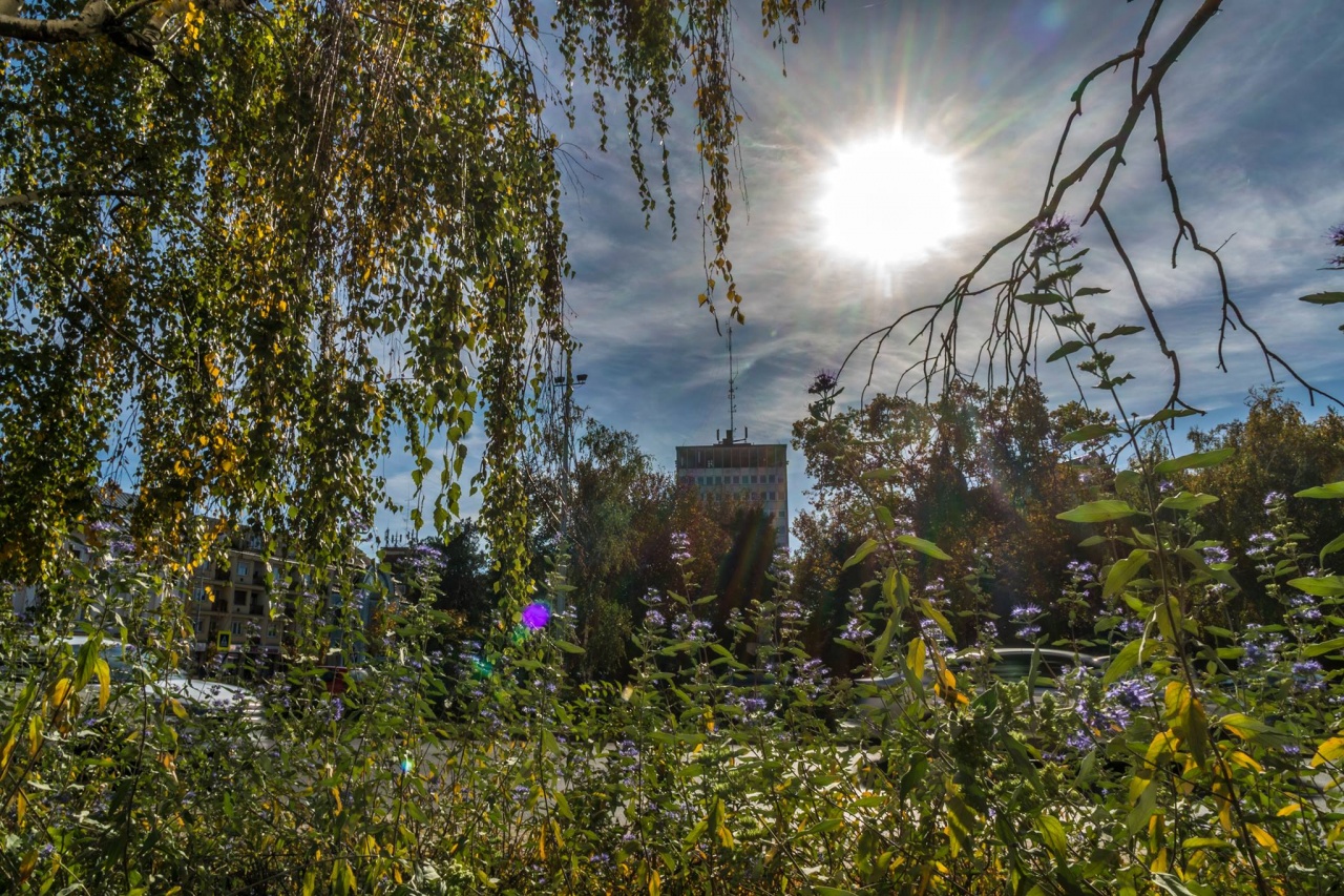 Meleg időt tartogat a hosszú hétvége – Újabb melegrekordok születhetnek!