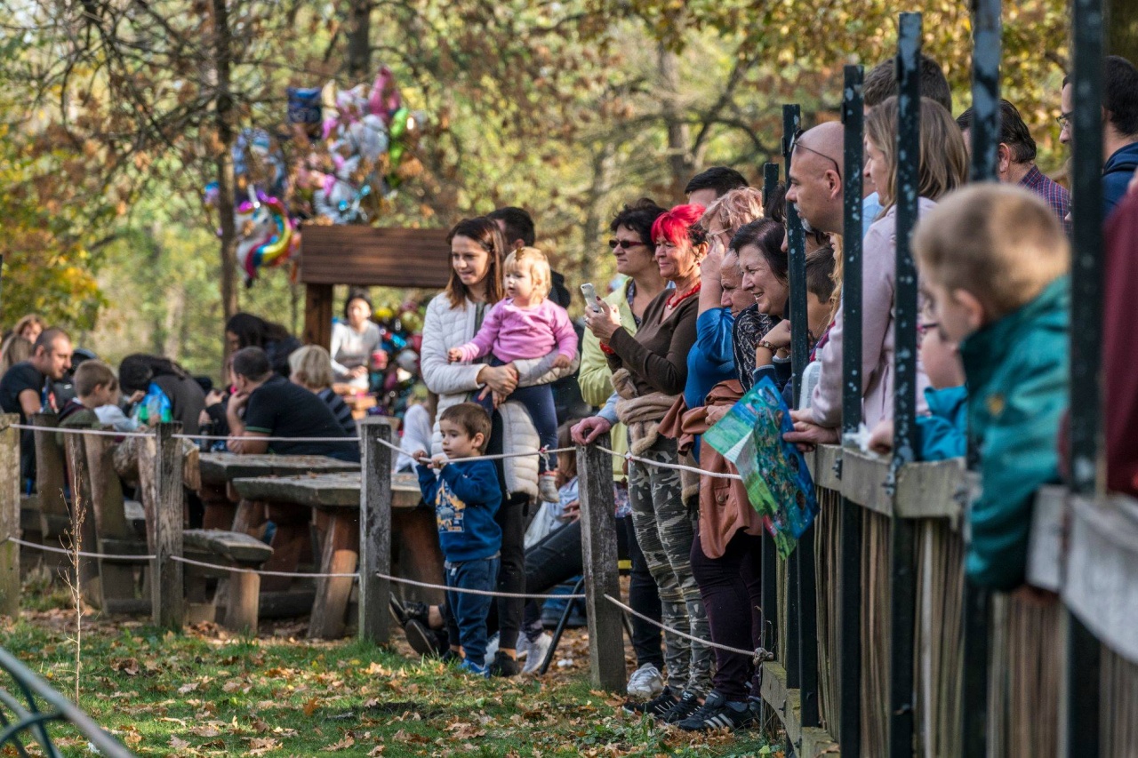 Hosszú hétvége a Nyíregyházi Állatparkban – Változatlan nyitvatartás és látványetetések