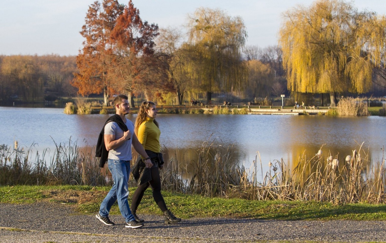 Enyhe idővel köszöntött be a november – Vajon meddig tart a napsütés?