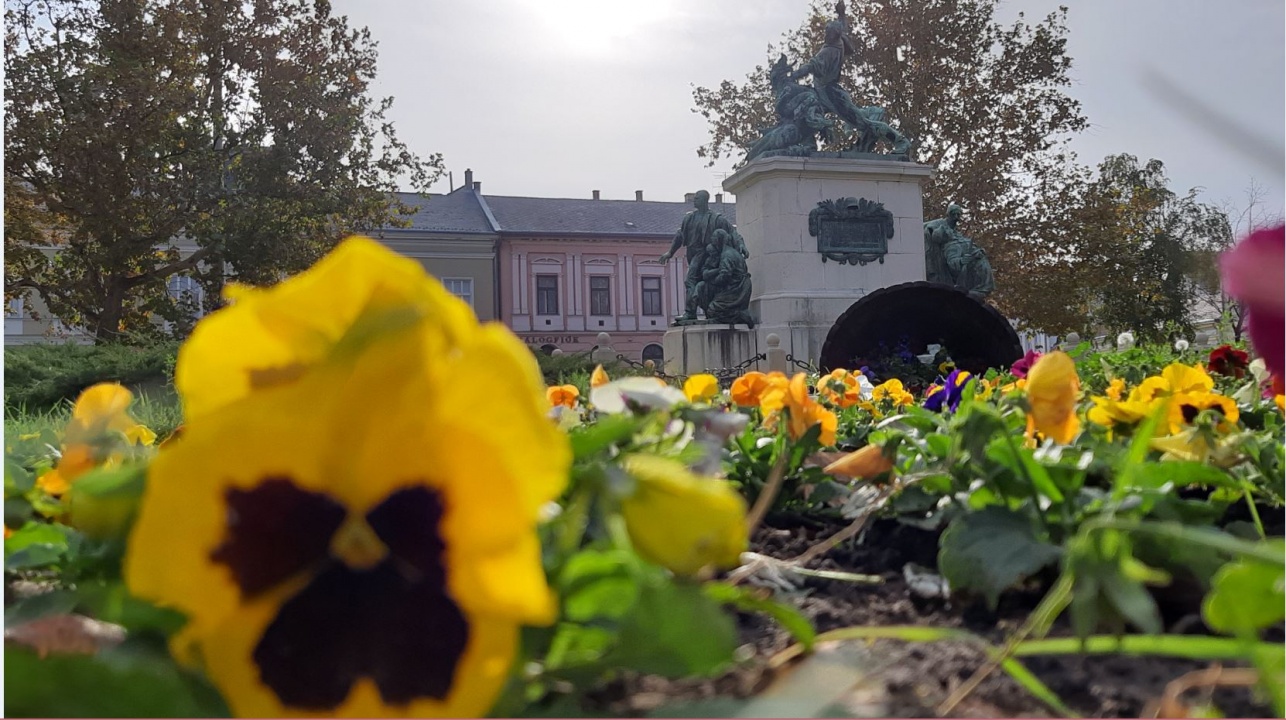Boldogan napfürdőztek Nyíregyházán a virágok