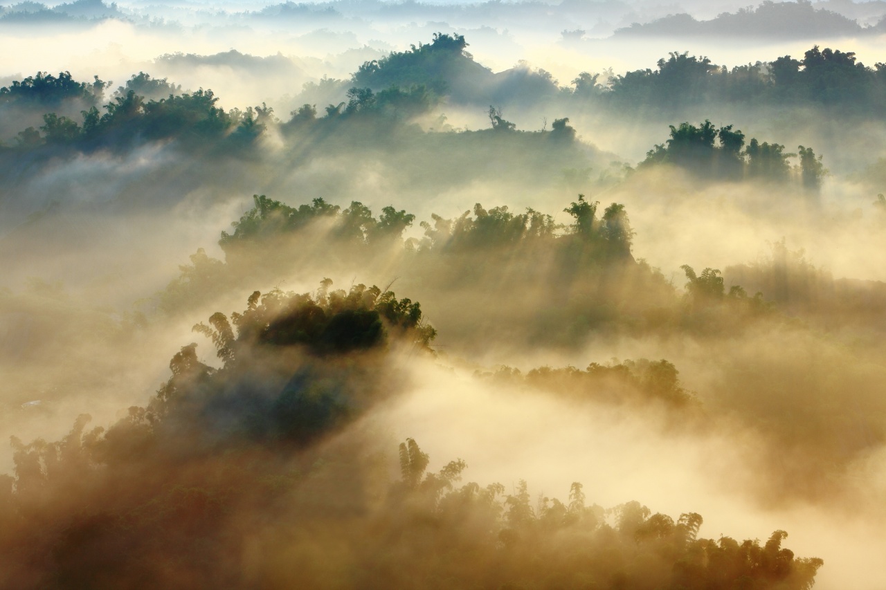 Napsütés szabdalja majd fel a ködöt kedden – Reméljük Nyíregyházán is!