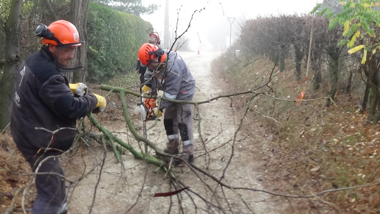 Favágási munkálatok miatt teljes útlezárás volt péntek délelőtt Kistelekiszőlőben
