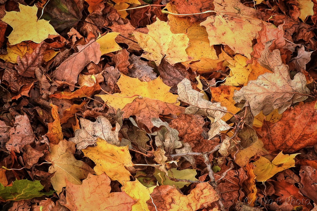Ellenőrzik a takarítást – Büntetés is lehet a vége!