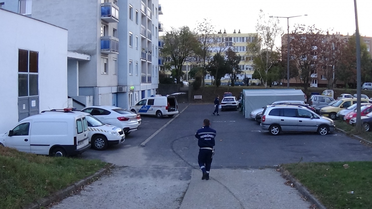 Jelentős károk – Karambolt okozott, majd több parkoló autónak is nekihajtott