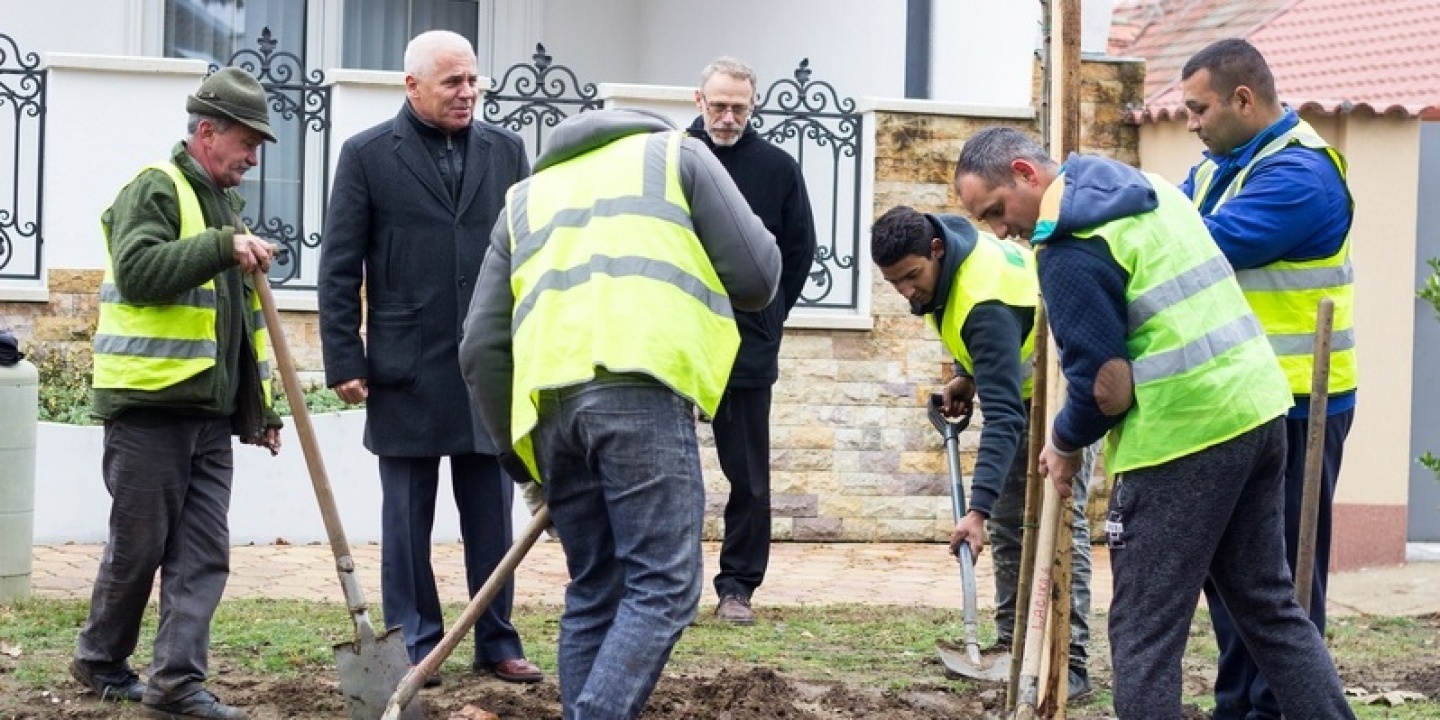 Tovább folytatódik a fásítási program Nyíregyházán  - jelenleg a Honvéd utcán telepítenek