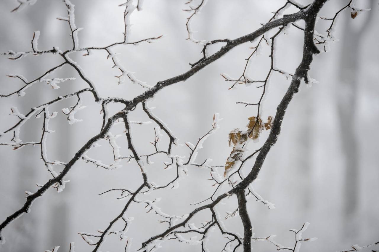 Hó, köd, havas eső – Ezekre készüljön ma