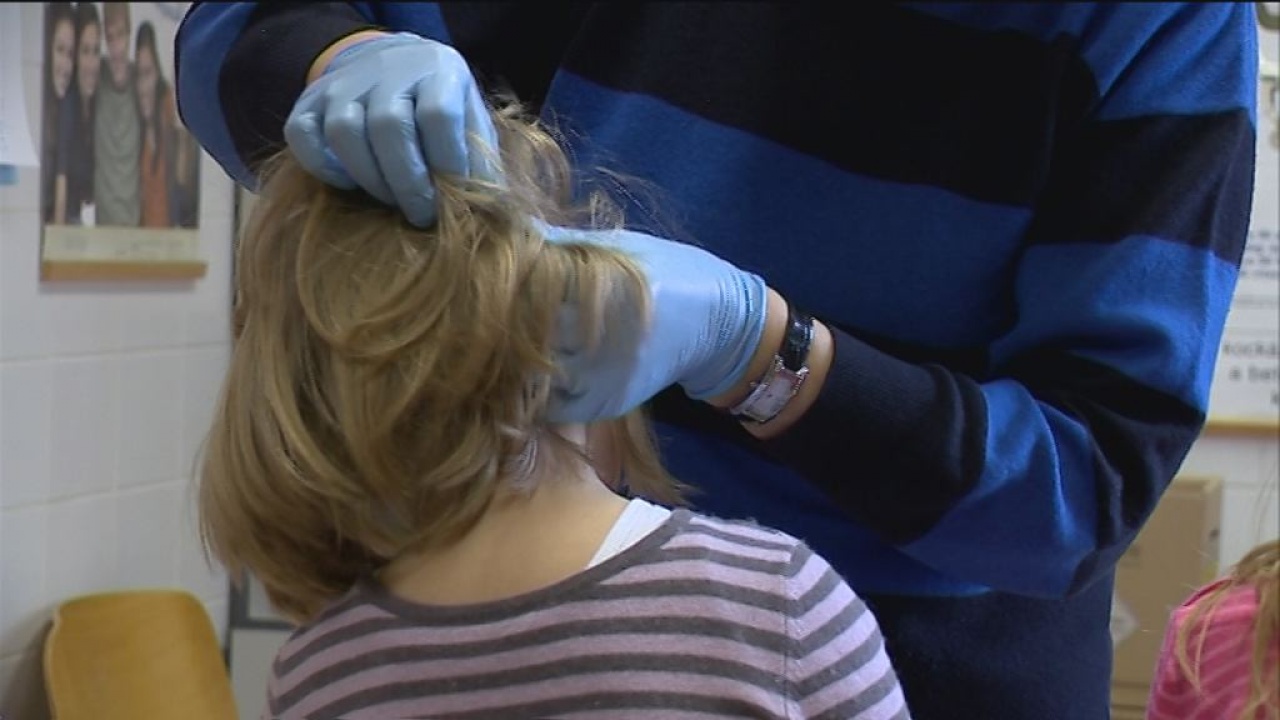 Kampányellenőrzés: Nincs járvány Nyíregyházán