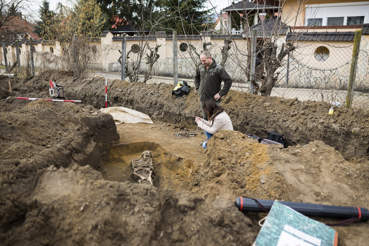 Árpád-kori sírokat találtak családi házak kertjeiben