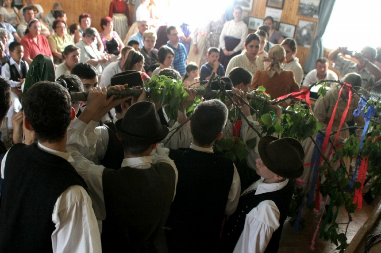 Majális Mandabokorban