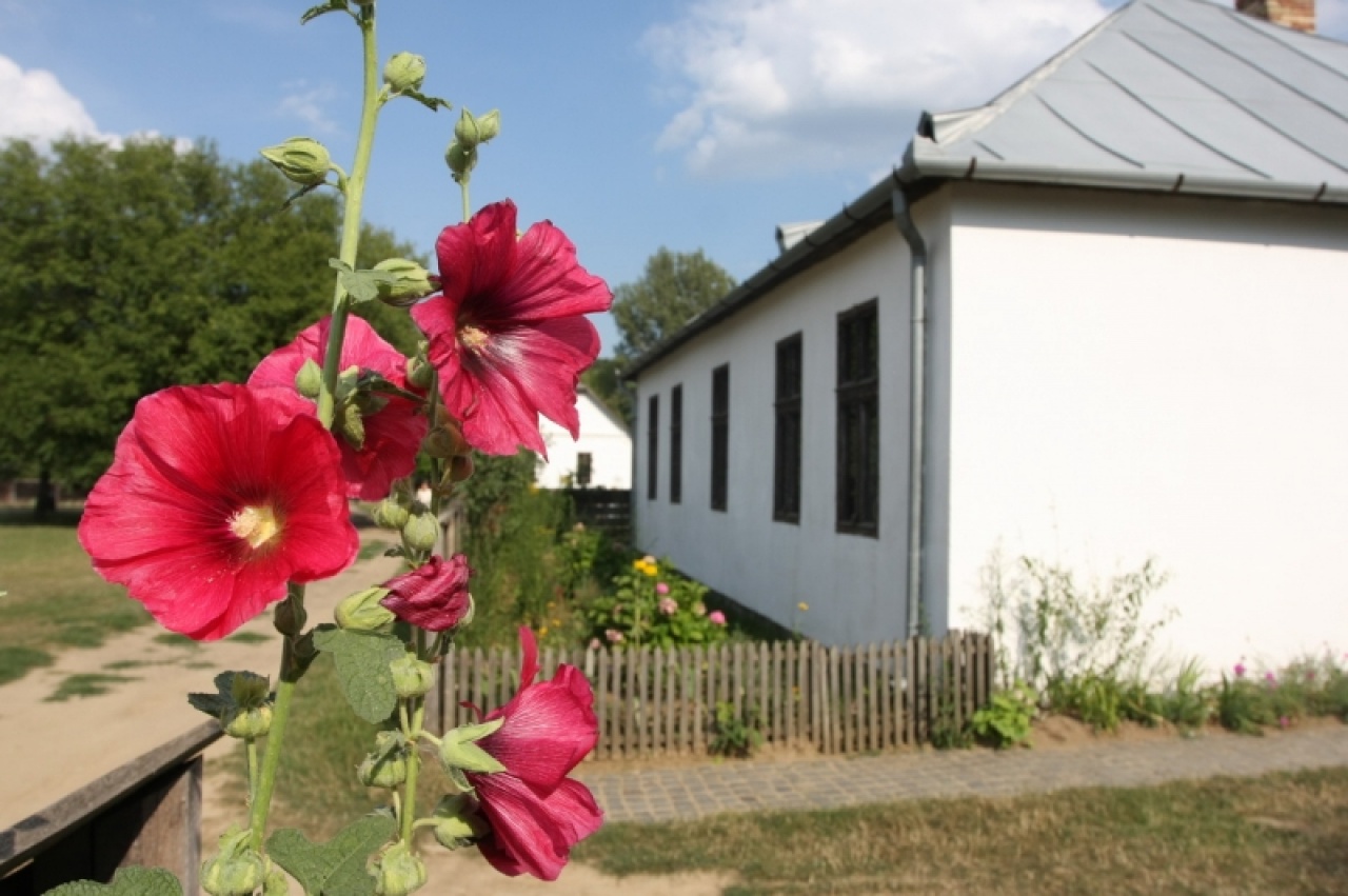 A múzeumfaluról a Híregyházában