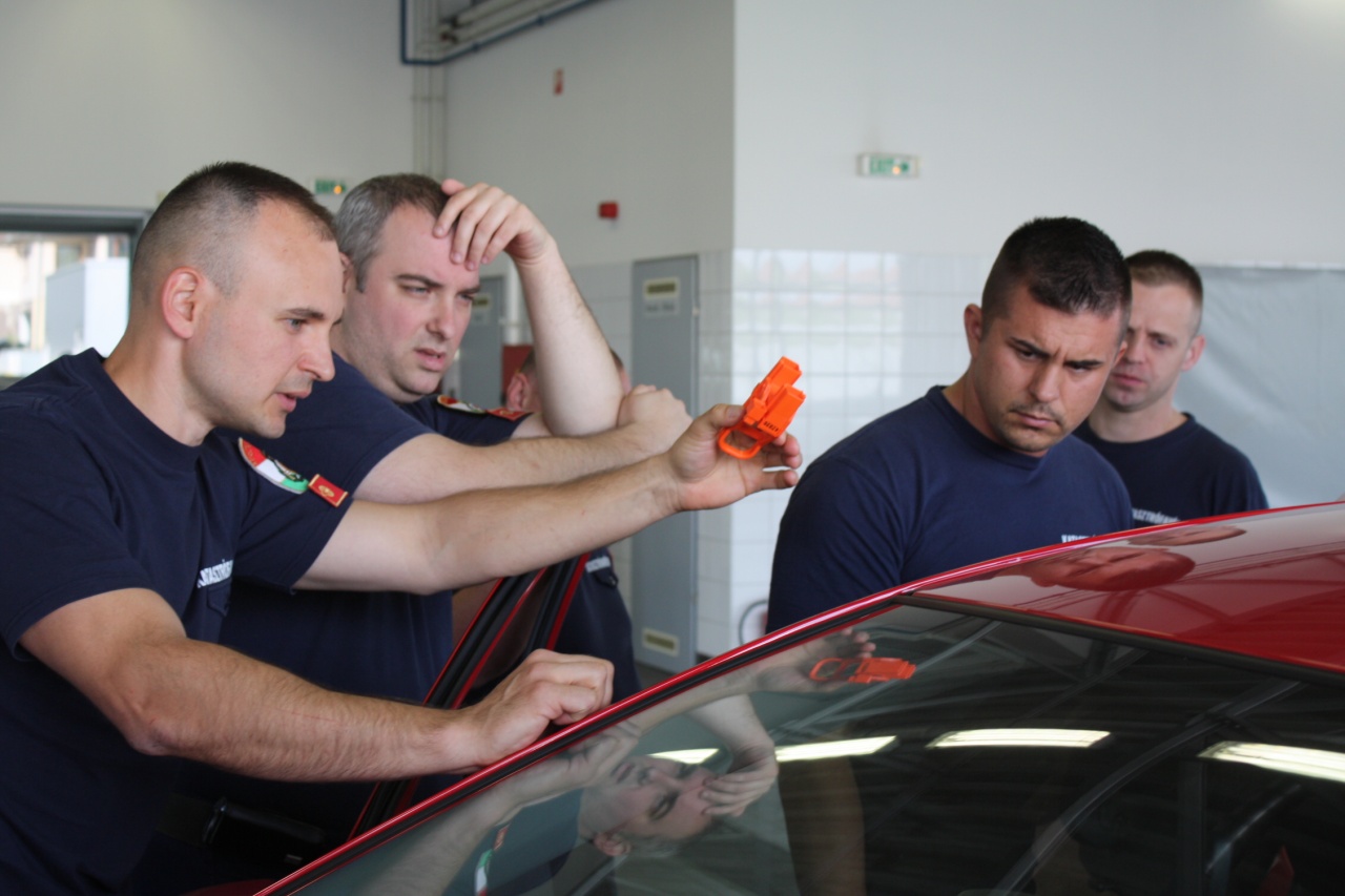 Azonosítás és beavatkozás