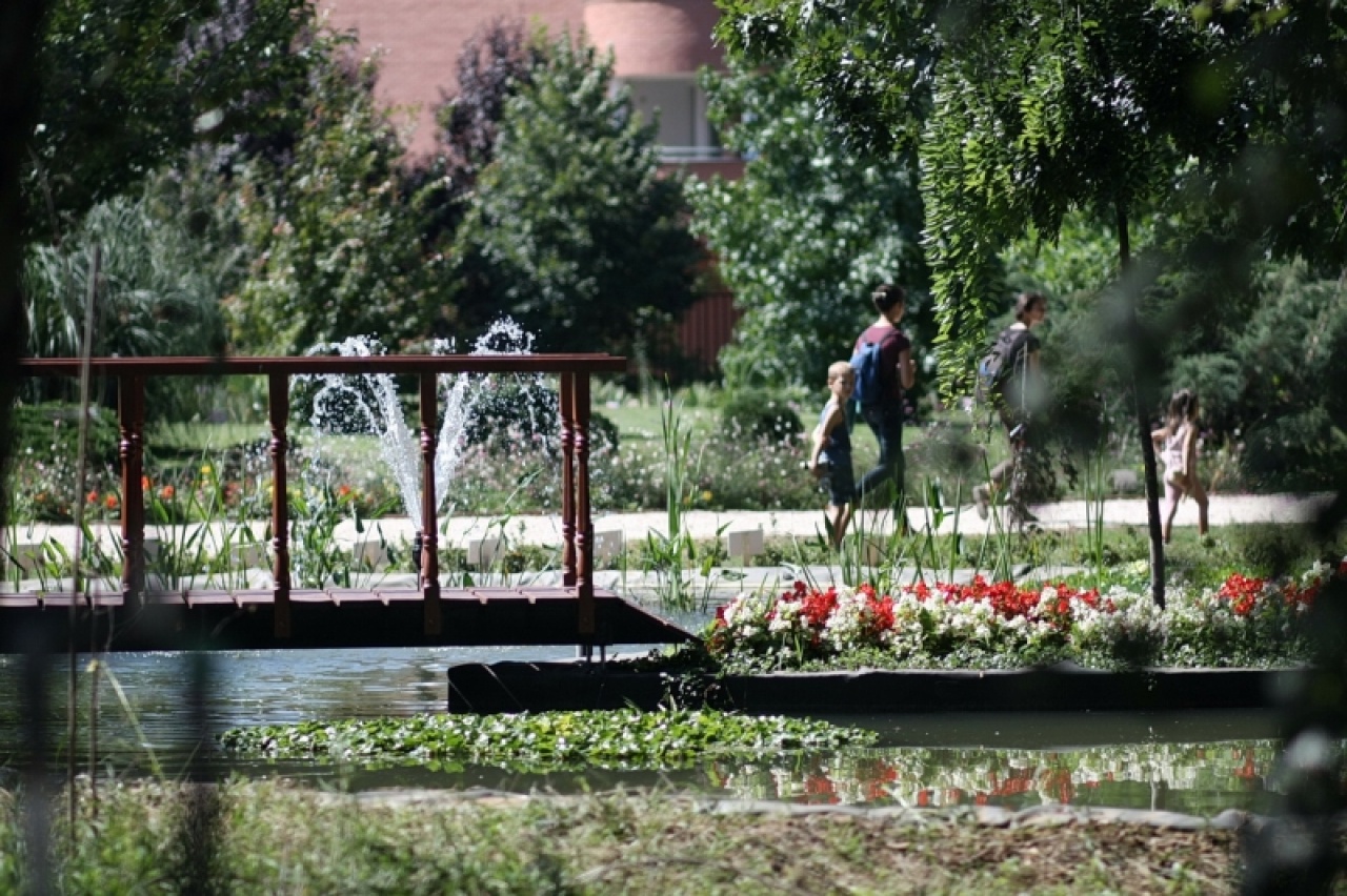 Madarak és Fák Napja 