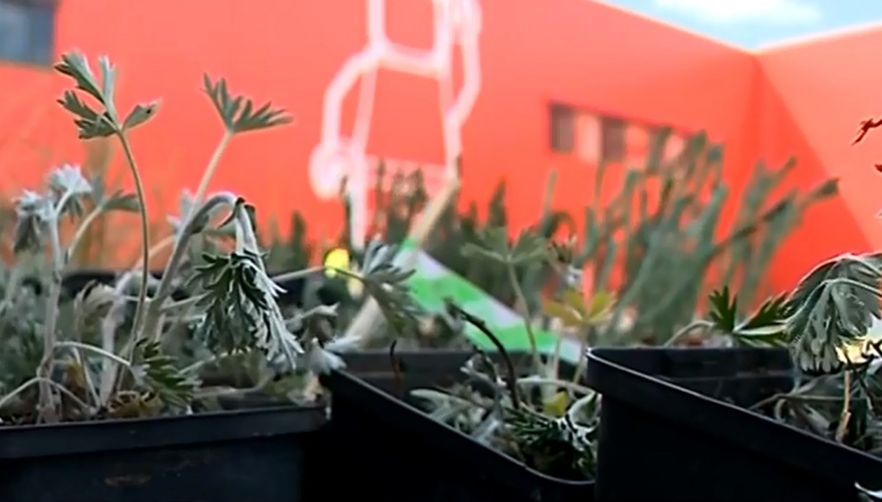 Bemutatókertet alakított ki a LEGO