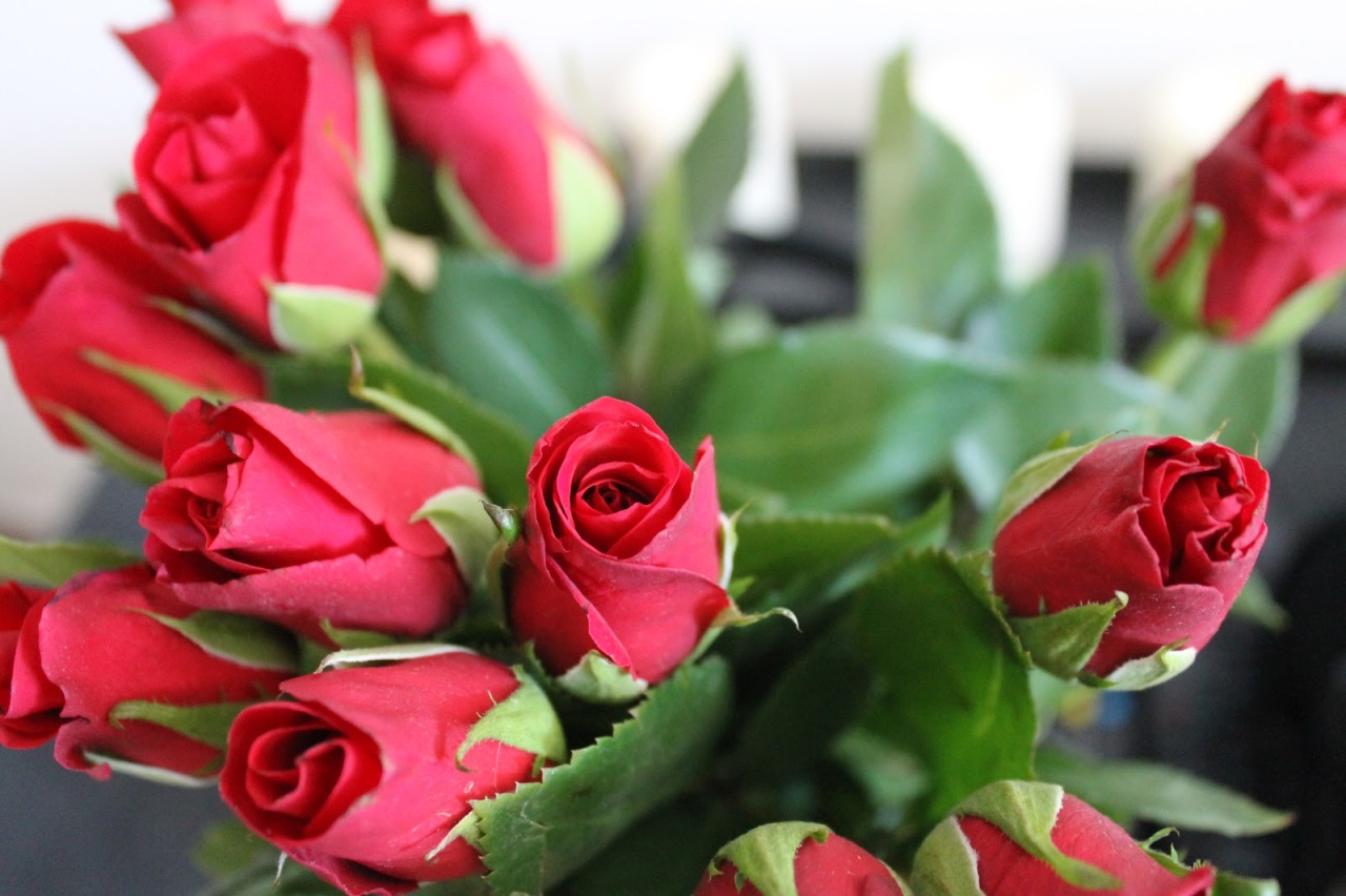 „Édesanyám rózsafája...”