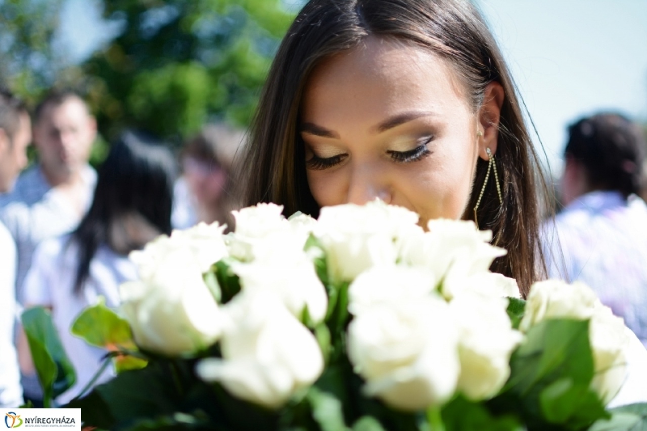 Ballag már a vén diák... szerte a városban