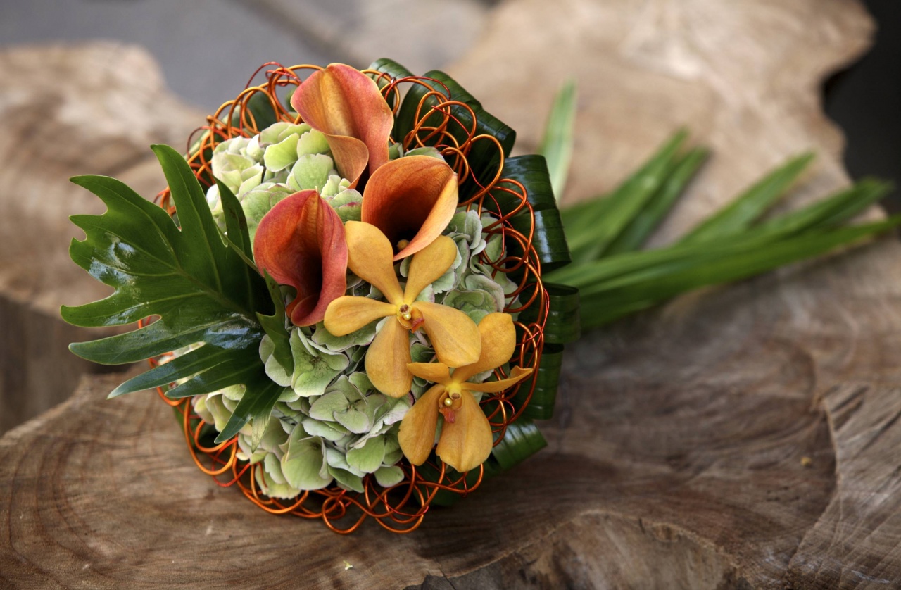 Legyen minden nap anyák napja!