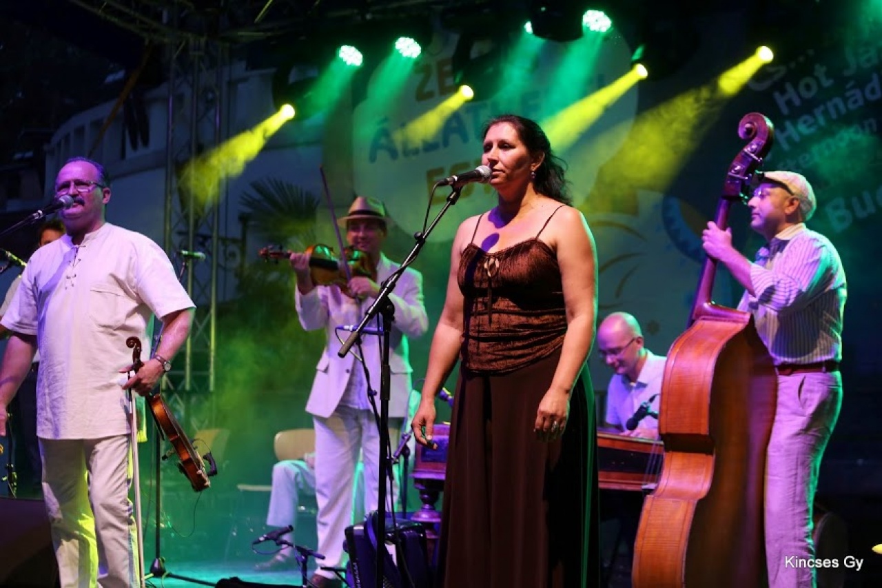 Születésnapi koncert a Korzóban