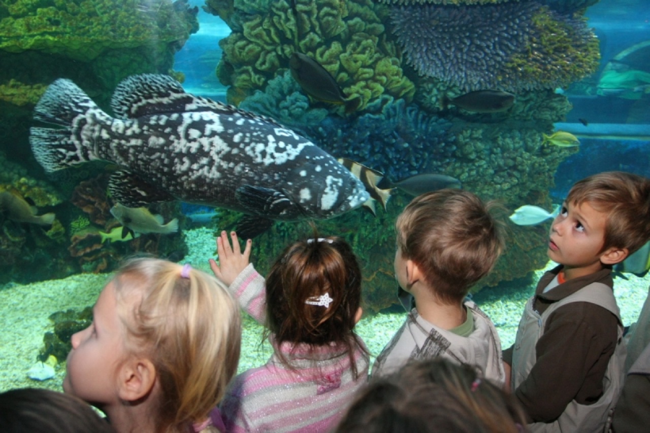 Neked melyik a kedvenc helyed Nyíregyházán?