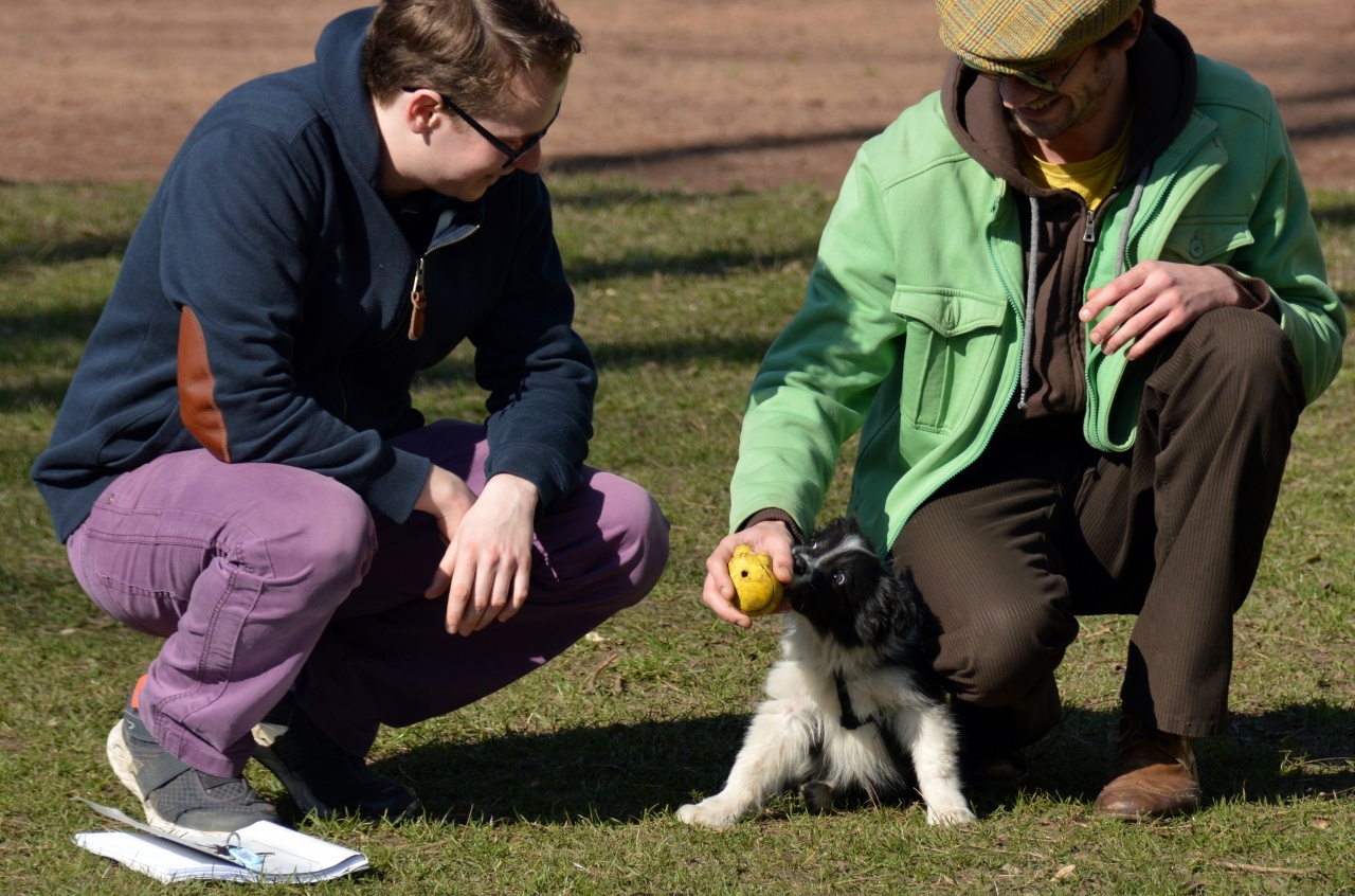 Örökbefogadási nap