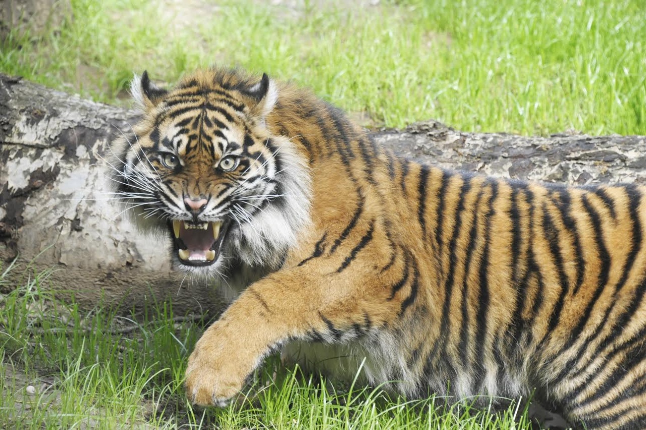 Feleséget kapott Gio