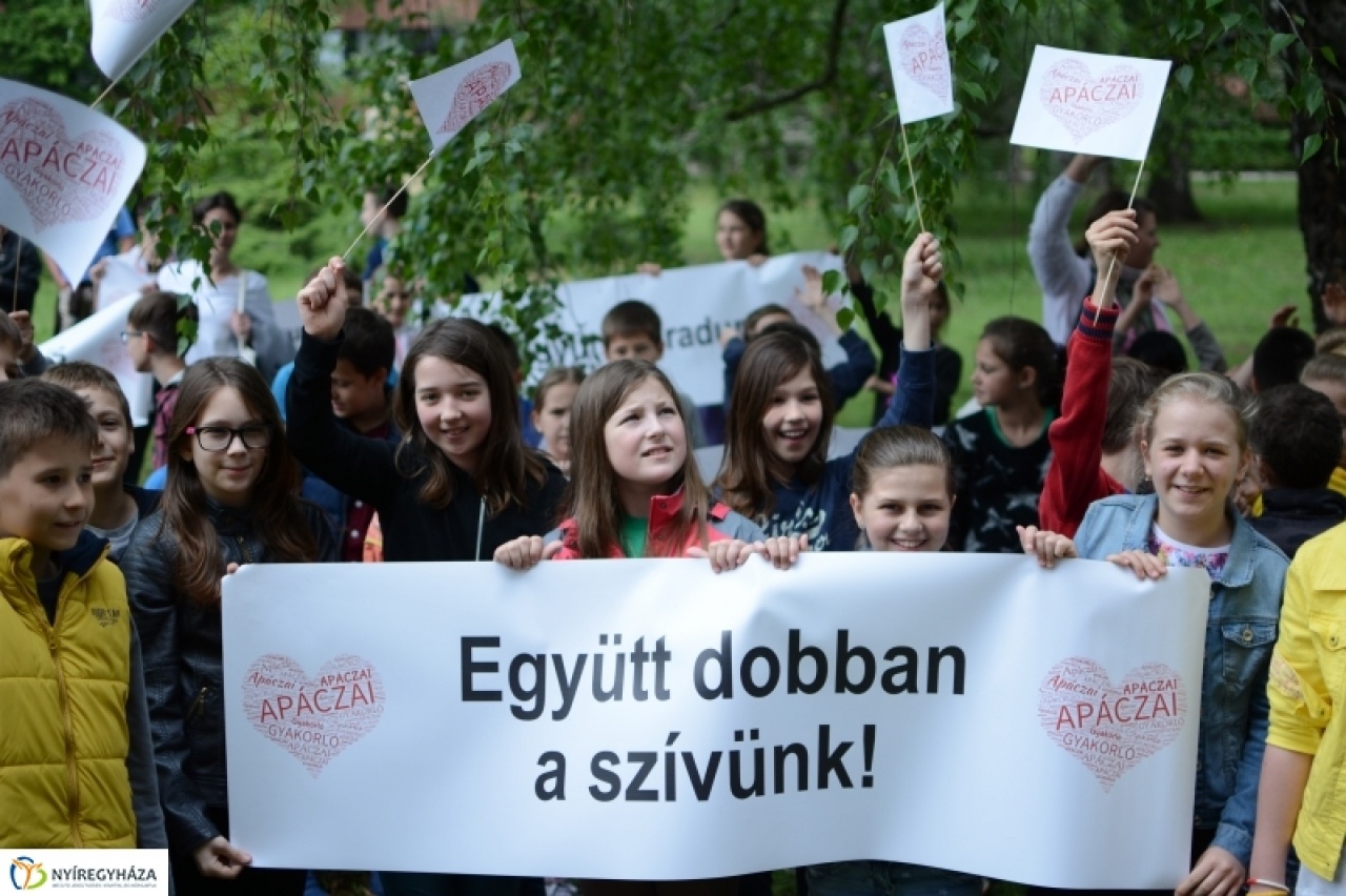 Csendes demonstráció az Apáczaiért