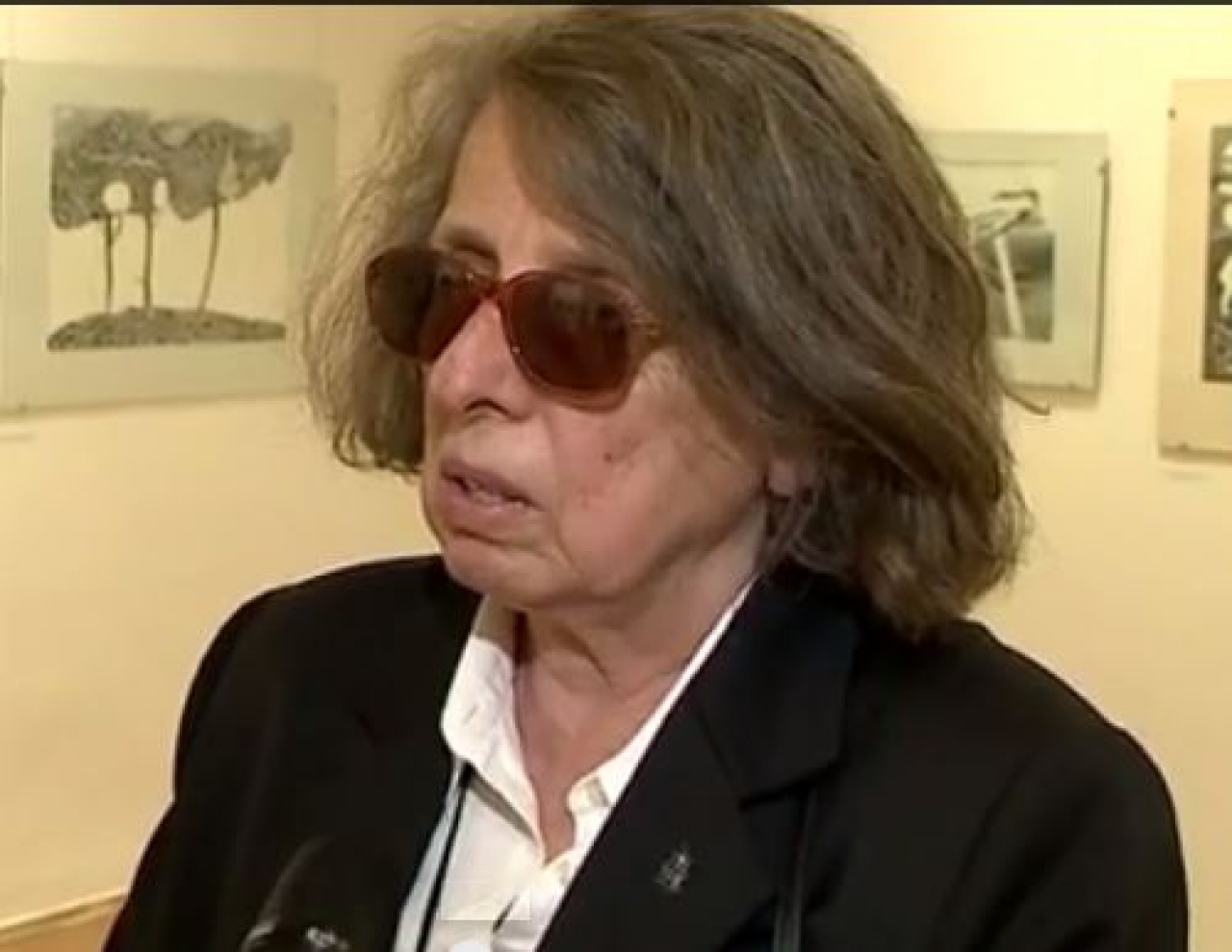 Negyven év képekben