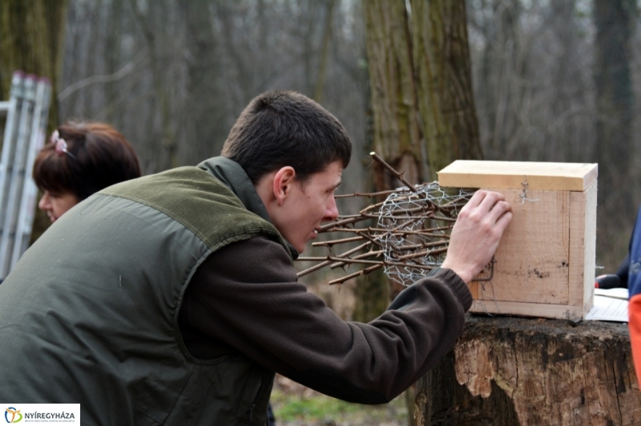 Madárköltési csúcs