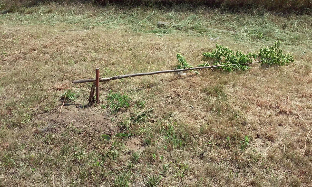 Rongálások hétvégéje Nyíregyházán