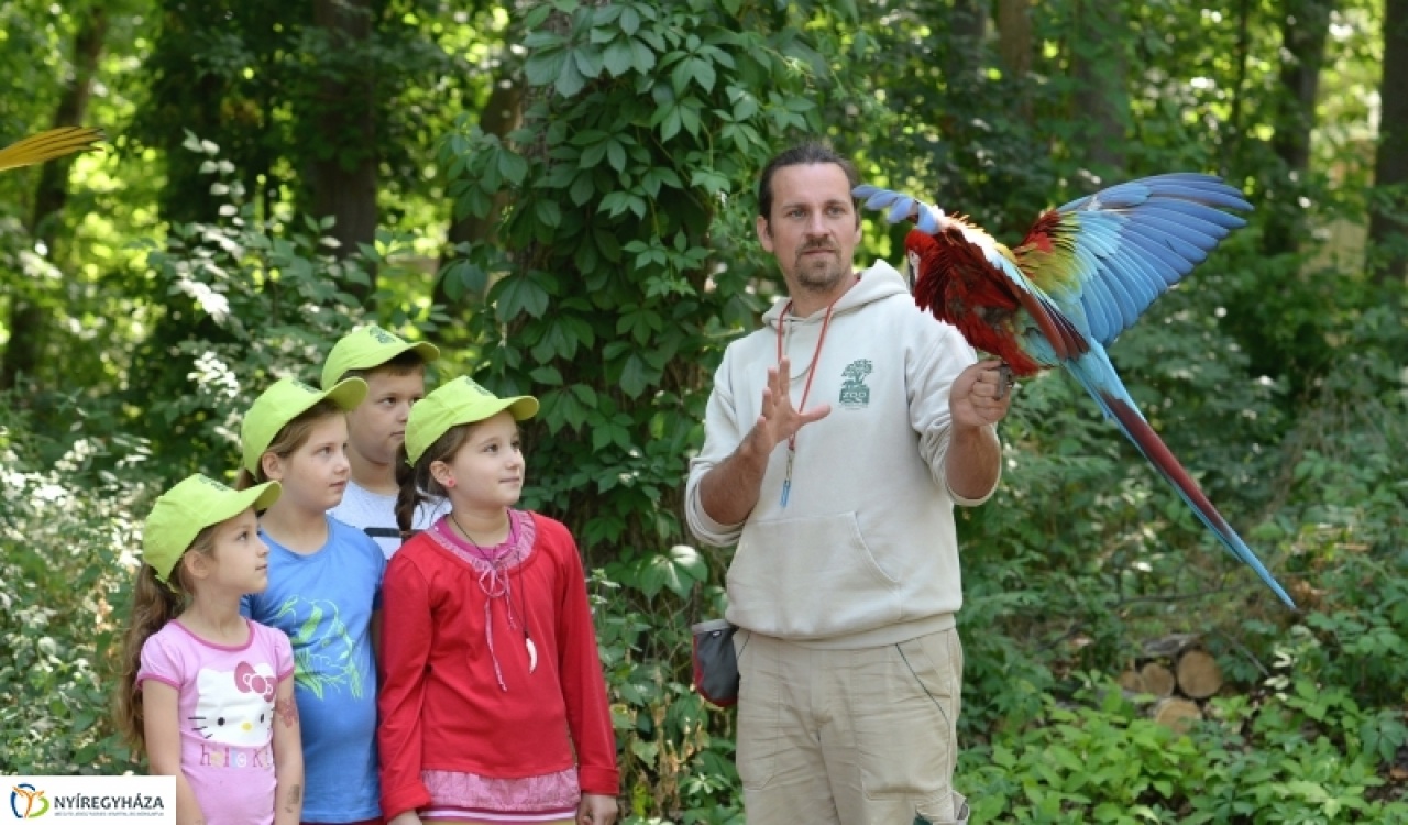 Zoo Suli Nyíregyházán